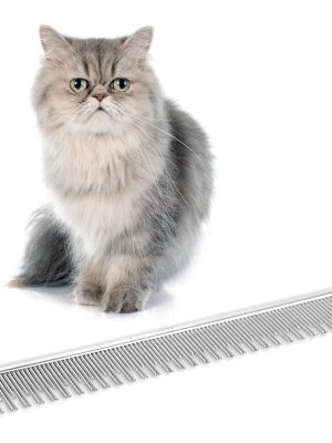 Deshedding and Detangling Comb for Long-Haired Cats | Remove Undercoat, Excess Hair, Tangles & Knots | 6" Dual-Tooth Comb with Rounded Pins